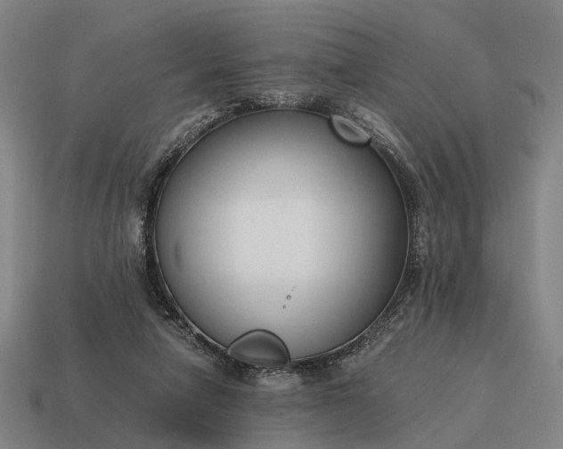 X0000115120258200911101632