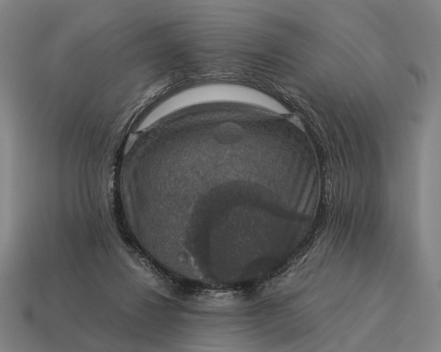 X0000115120260200911101632