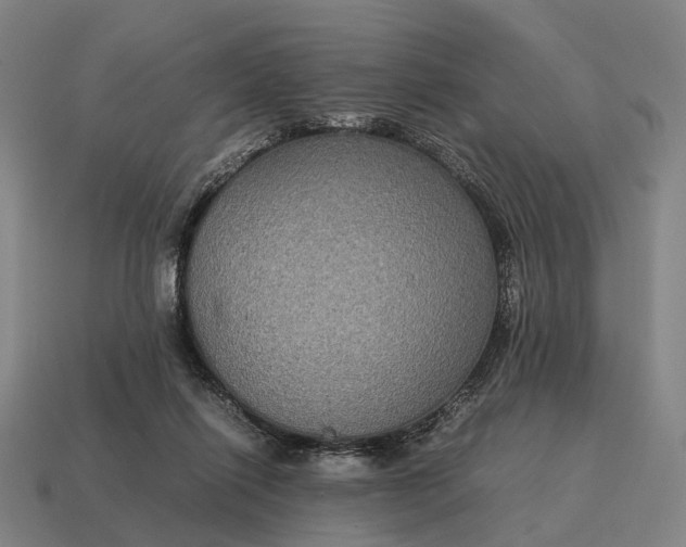 X0000115120262200911101632