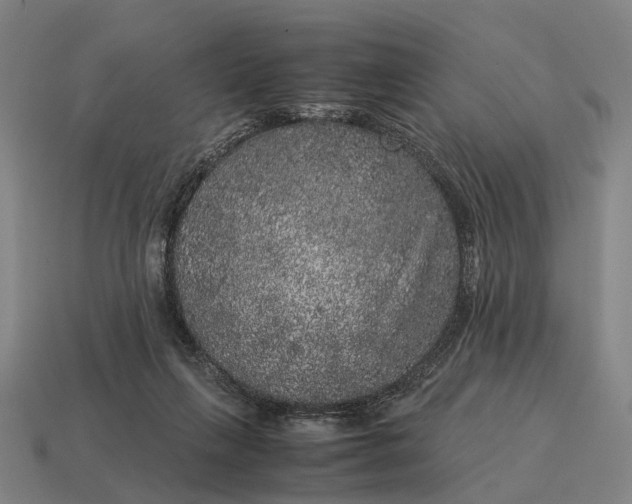 X0000115120263200911101632