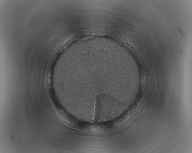 X0000115120264200911101632