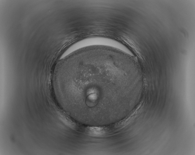 X0000115120265200911101632