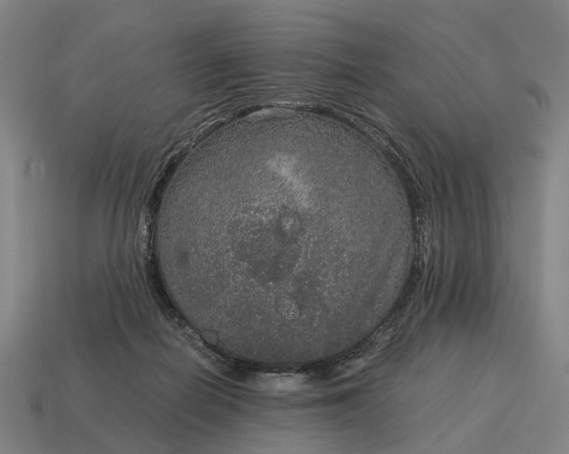 X0000115120266200911101632