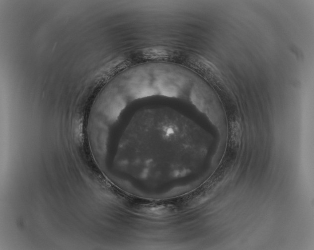 X0000115120267200911101632