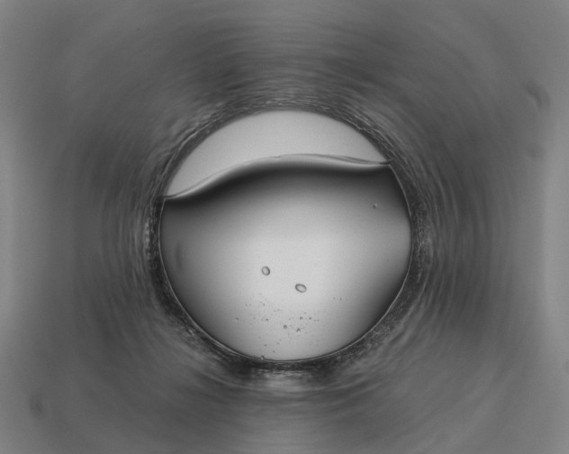 X0000115120268200911101632