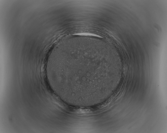 X0000115120270200911101632
