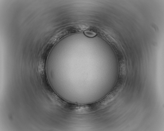 X0000115120274200911101632