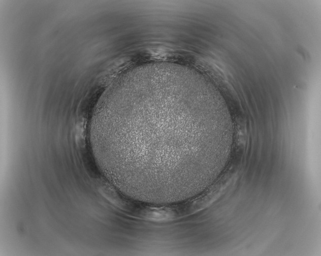 X0000115120275200911101632