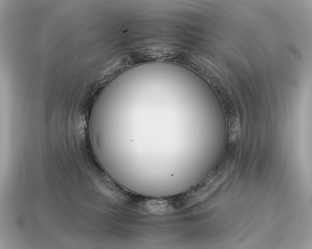 X0000115120279200911101632