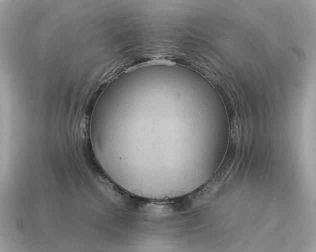 X0000115120280200911101632