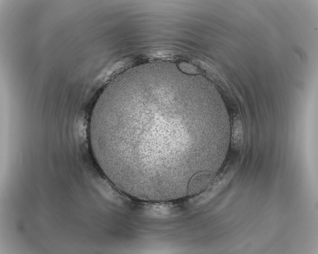 X0000115120282200911101632