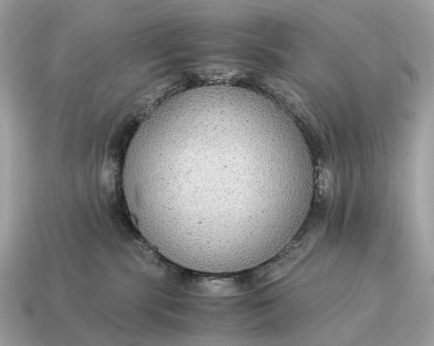 X0000115120283200911101632