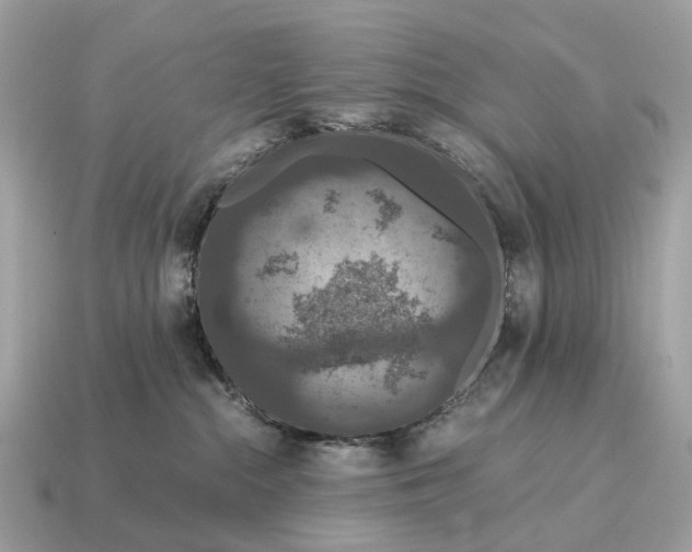 X0000115120284200911101632