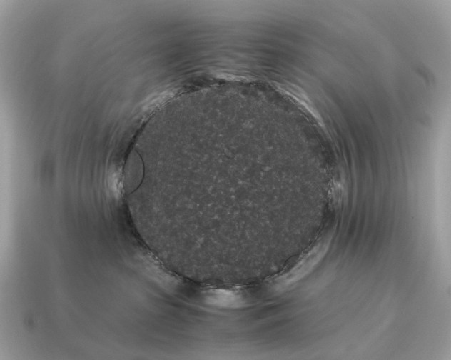 X0000115120285200911101632