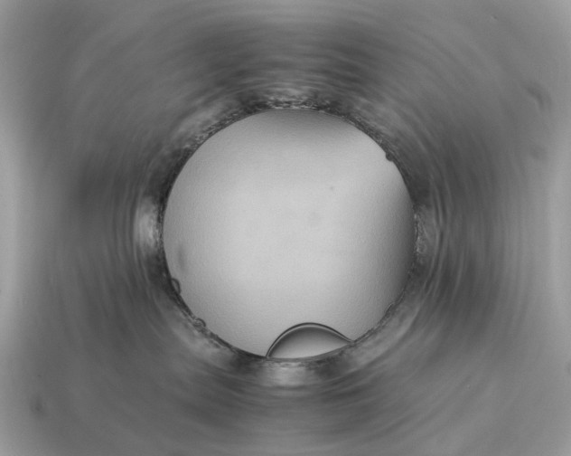 X0000115120287200911101632