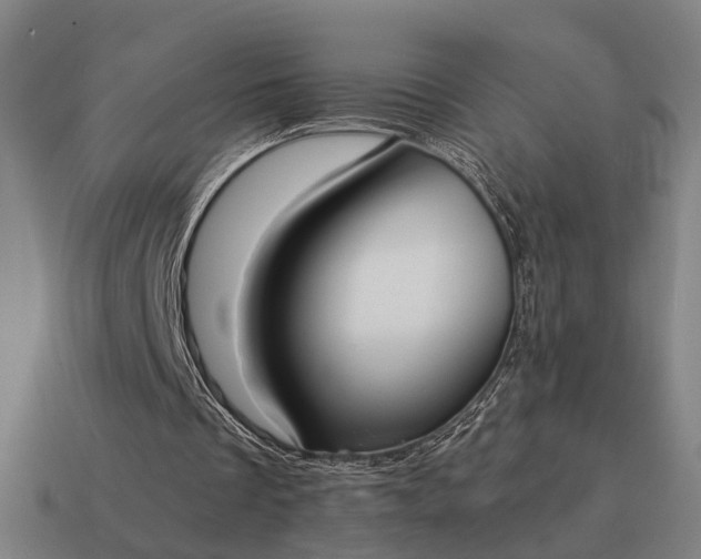 X0000115120289200911101632