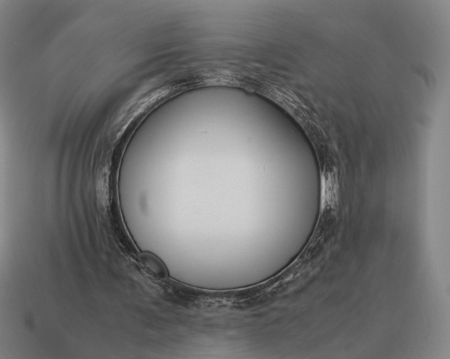 X0000115120291200911101632
