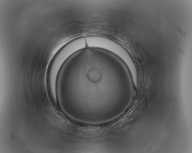 X0000115120292200911101632