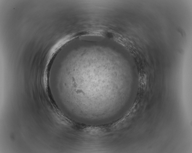 X0000115120294200911101632