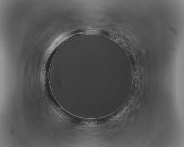 X0000115120295200911101632