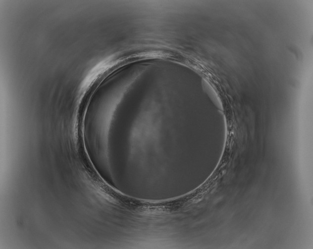 X0000115120296200911101632