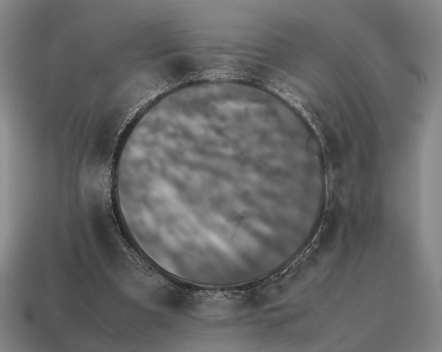 X0000115120297200911101632