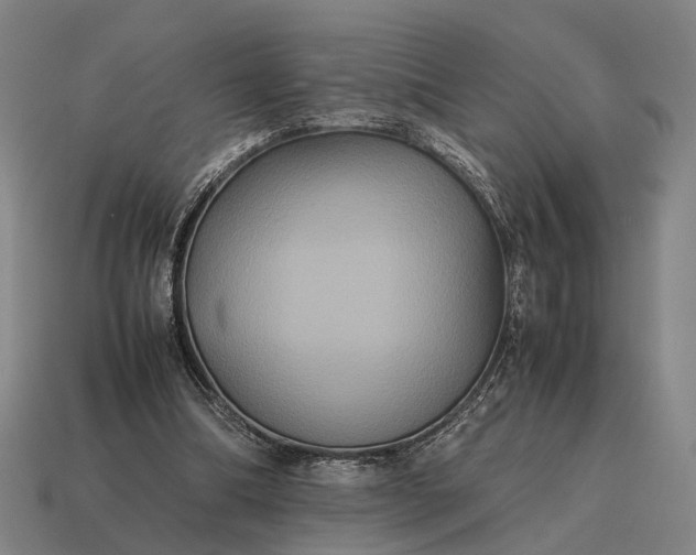 X0000115120298200911101632