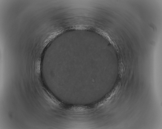 X0000115120299200911101632
