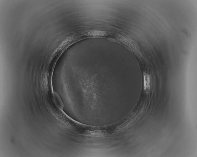 X0000115120300200911101632