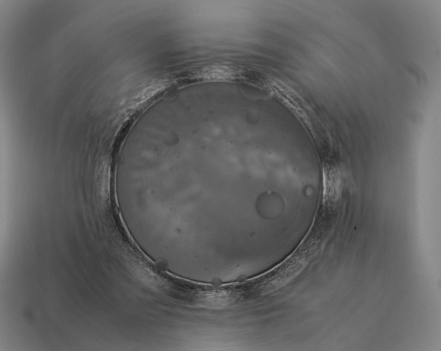 X0000115120301200911101632
