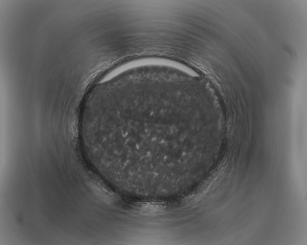 X0000115120303200911101632