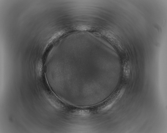 X0000115120304200911101632