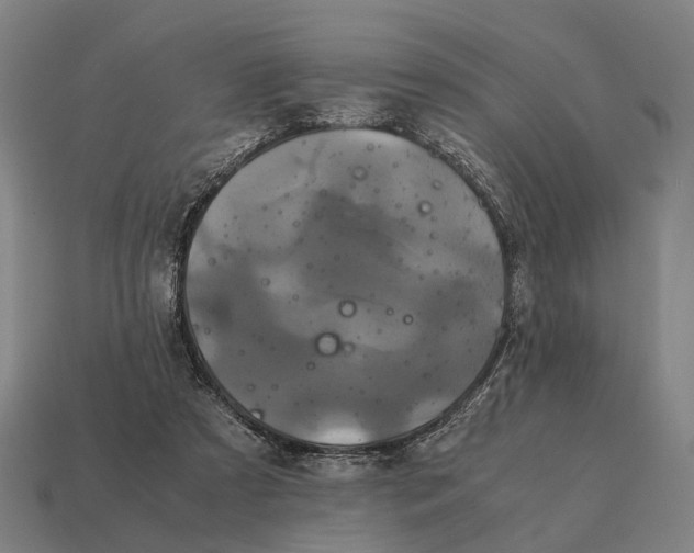 X0000115120305200911101632