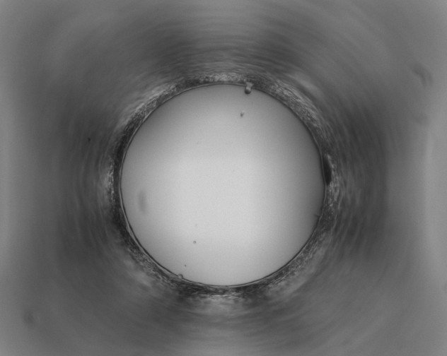 X0000115120306200911101632