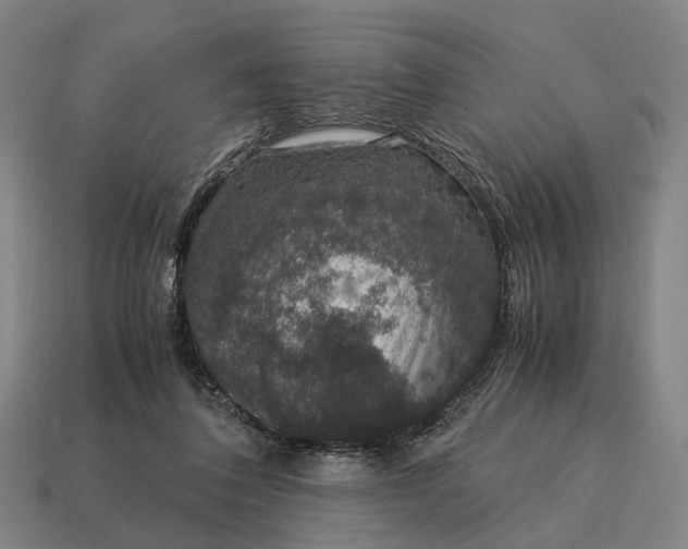 X0000115120308200911101632