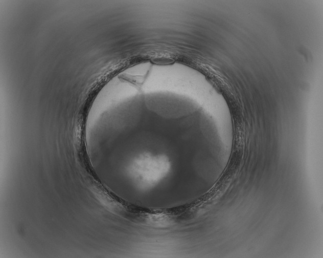 X0000115120309200911101632