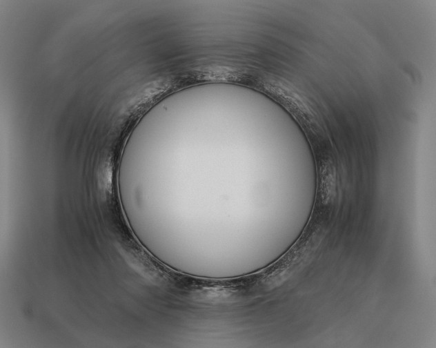 X0000115120310200911101632