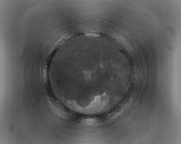 X0000115120312200911101631