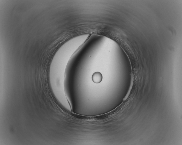 X0000115120313200911101631