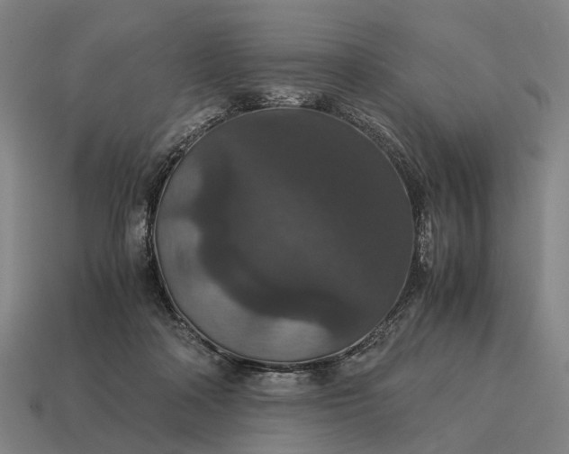 X0000115120314200911101631