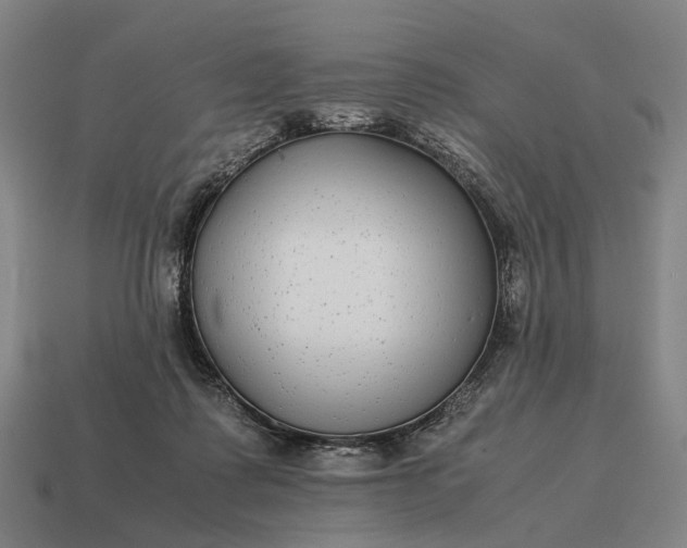 X0000115120315200911101631