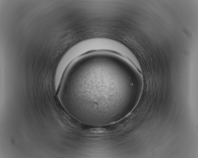 X0000115120316200911101631