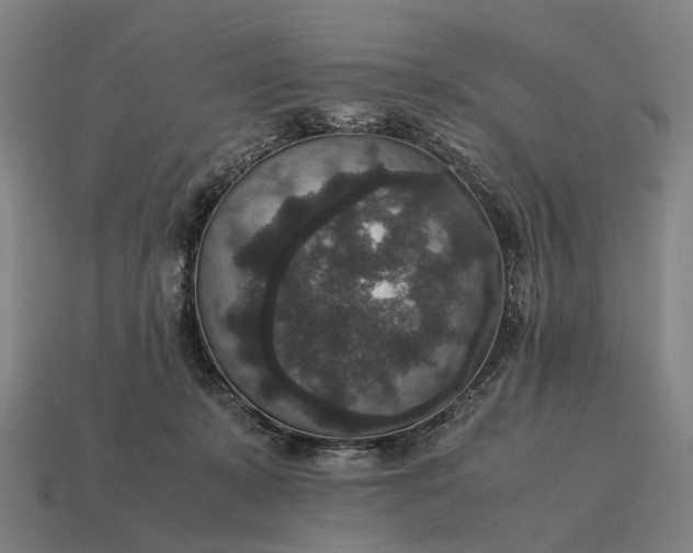 X0000115120319200911101631