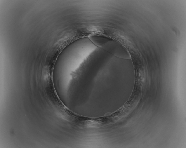 X0000115120320200911101631