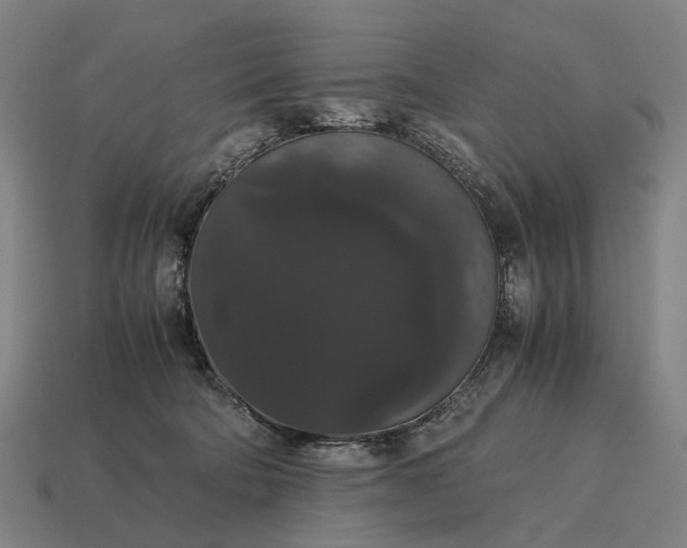 X0000115120322200911101631