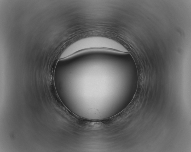X0000115120324200911101631