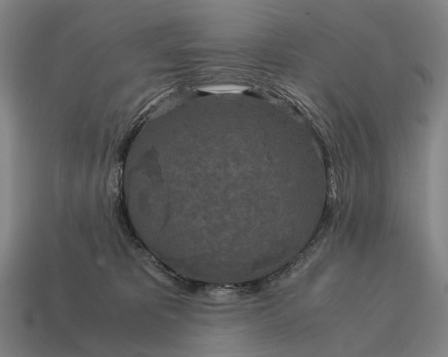 X0000115120325200911101631