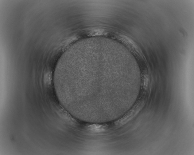 X0000115120326200911101631