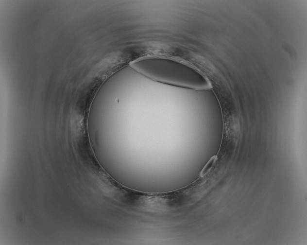 X0000115120327200911101631