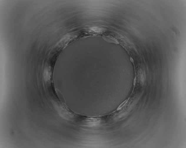 X0000115120328200911101631